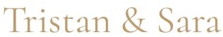 logo main